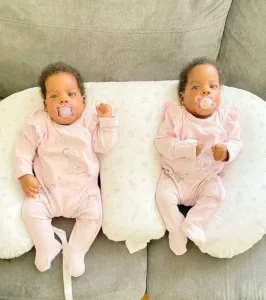 Housse pour oreiller d&rsquo;allaitement jumeau collection luxe